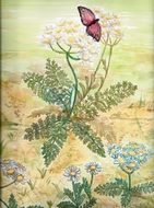 drawn Butterfly at summer background