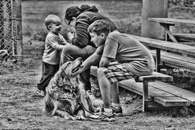 Family Kids and Dogs