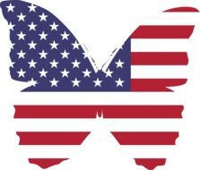 America Butterfly Flag drawing