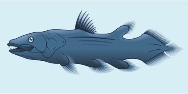 painted blue fish