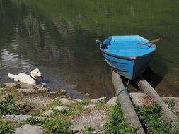 Blue boat on a river