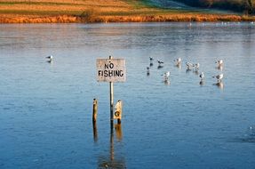 No Fishing sign Lake