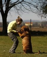 Bordeaux Mastiff and girl cute friendship