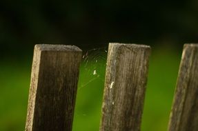 spider web on old wooden fence