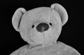 grey teddy bear