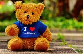 teddy bear in colorful t-shirt with heart