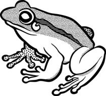 black and white drawing of a frog