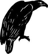 Black silhouette drawing of the eagle at white background