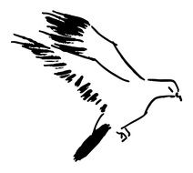 drawn flying dove