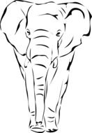 Elephant in Wildlife sketch drawing