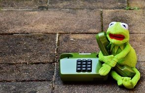kermit frog with a phone