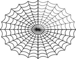 Spider Web Creepy drawing