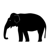 Asian Elephant, Silhouette