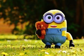 teddy mignon on green grass