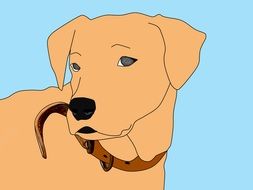 illustration of golden retriever
