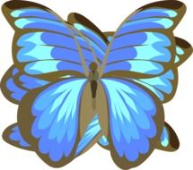 graphic image of a bright blue bright butterfly