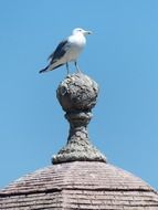 bird on the stone spire