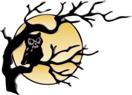 Owl on tree, Moon at background, illustration