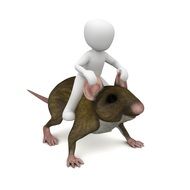 child riding a rat