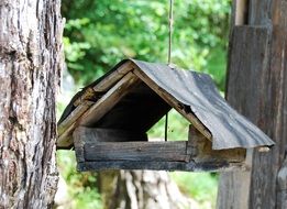 Bird feeder on woods