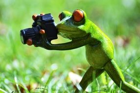 funny frog with camera outdoor