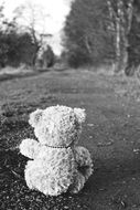 black and white photo of a teddy bear on the road