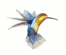 Colorful hummingbird clipart