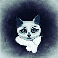 drawing white domestic cat