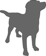 gray dog silhouette