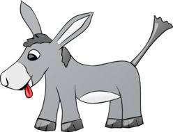 gray donkey