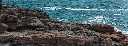 rock near the sea in canada
