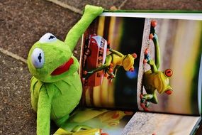 kermit Frog toy looking photo album