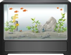 clipart, picture of aquarium with fish