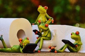 green frogs in the toilet close-up on blurred background