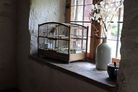 Bird in Cage and dry plants in bottle on Window Sill