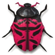 illustration of a pink and black ladybug on white background