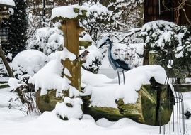 heron in the snow near the fountain