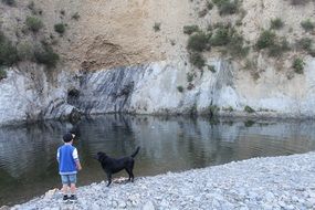 Picture of Child and Dog on a coast