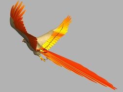 bright orange parrot flies in the sky