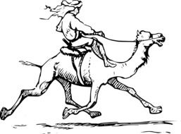 Man Riding Camel, illustration