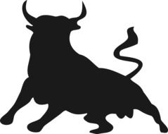 silhouette of wild buffalo