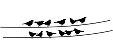 two rows of Birds on Wires, black drawing