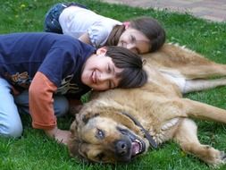 Picture of Friendship between dog and children
