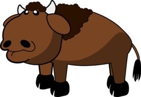 Brown buffalo picture