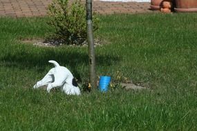 Dog digging ground, garden decor on lawn