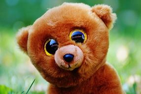 Cute stuffed teddy bear with glitter eyes on the meadow