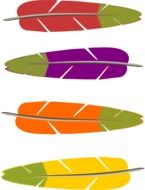 set of four Colorful Feathers, drawing