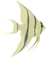 Drawing of the colorful striped fish at white background