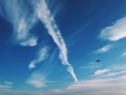 distant Bird silhouette in blue sky