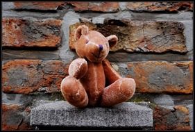 Teddy Bear on the wall